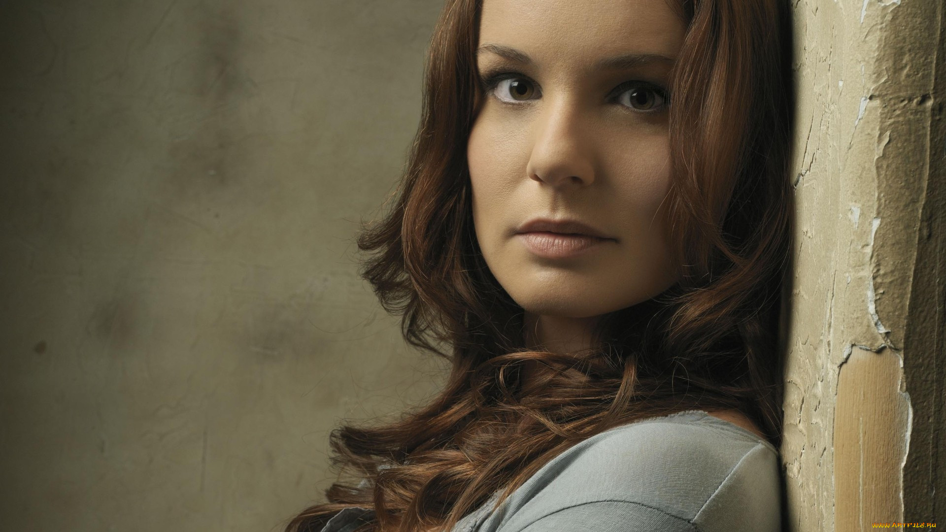 , sarah wayne callies, , 